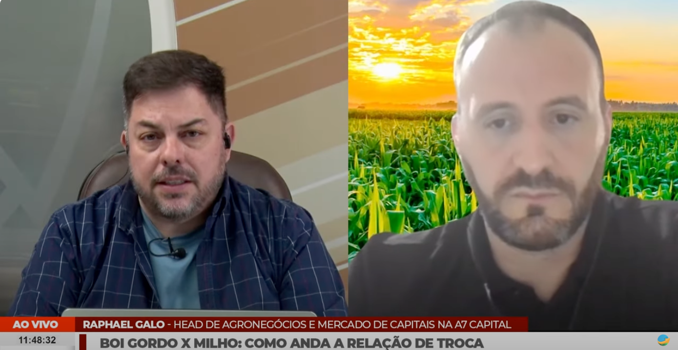 A participação do Galo