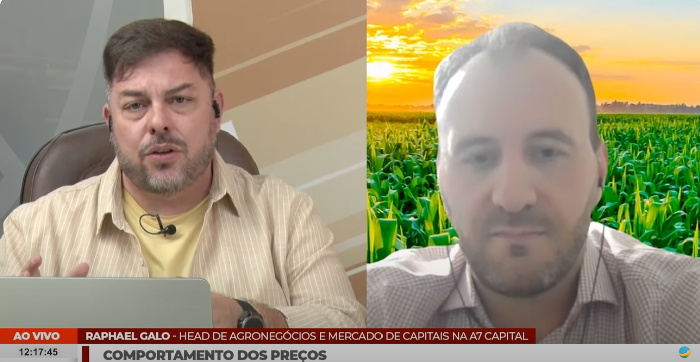 A participação do Galo