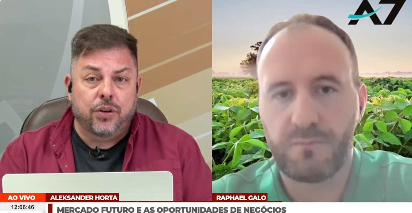 Mercado Futuro traz oportunidades de negócios com o boi e pecuaristas precisam identificar…