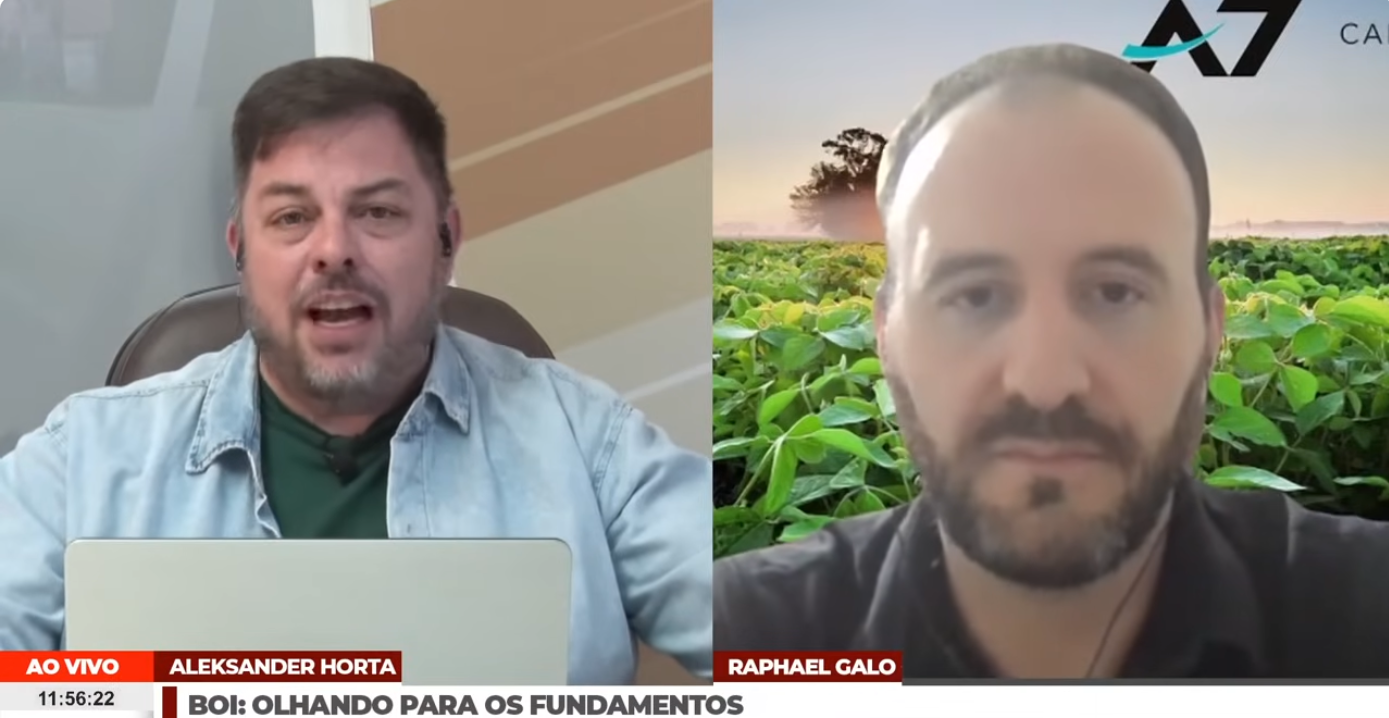 Mercado futuro do boi na B3 já perdeu quase 40 reais, mas cenário de alta para o final do ano…