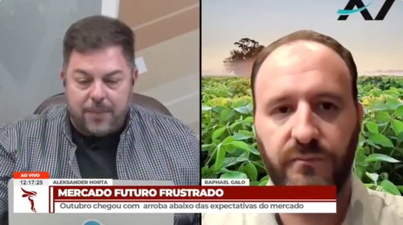 Reação da arroba do boi já começa a ser desenhada