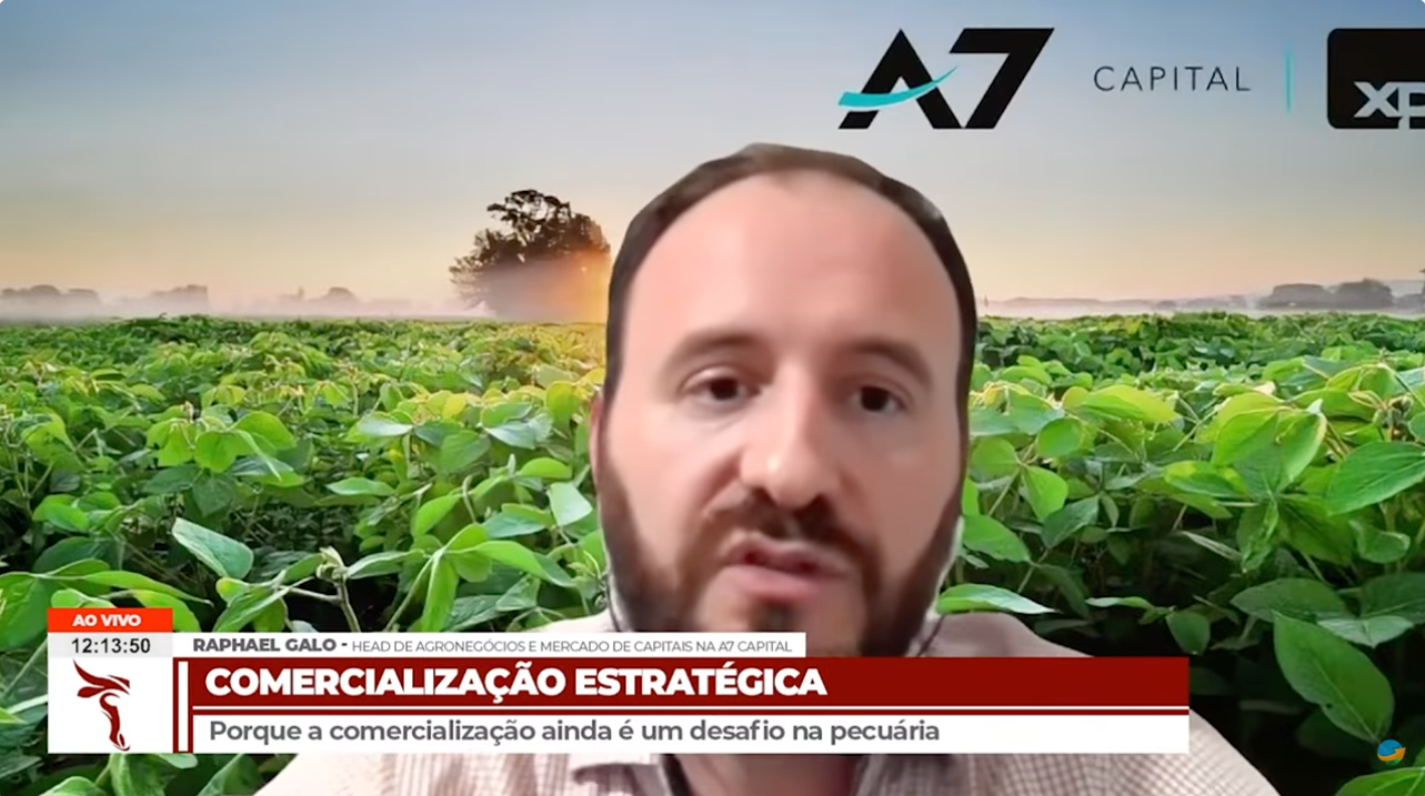 Comercialização segue como desafio para pecuarista brasileiro
